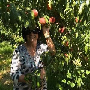 Meet your Posher, Krista